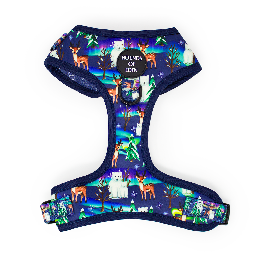 Polar Lights - Navy Polar Bear Design Dog Harness