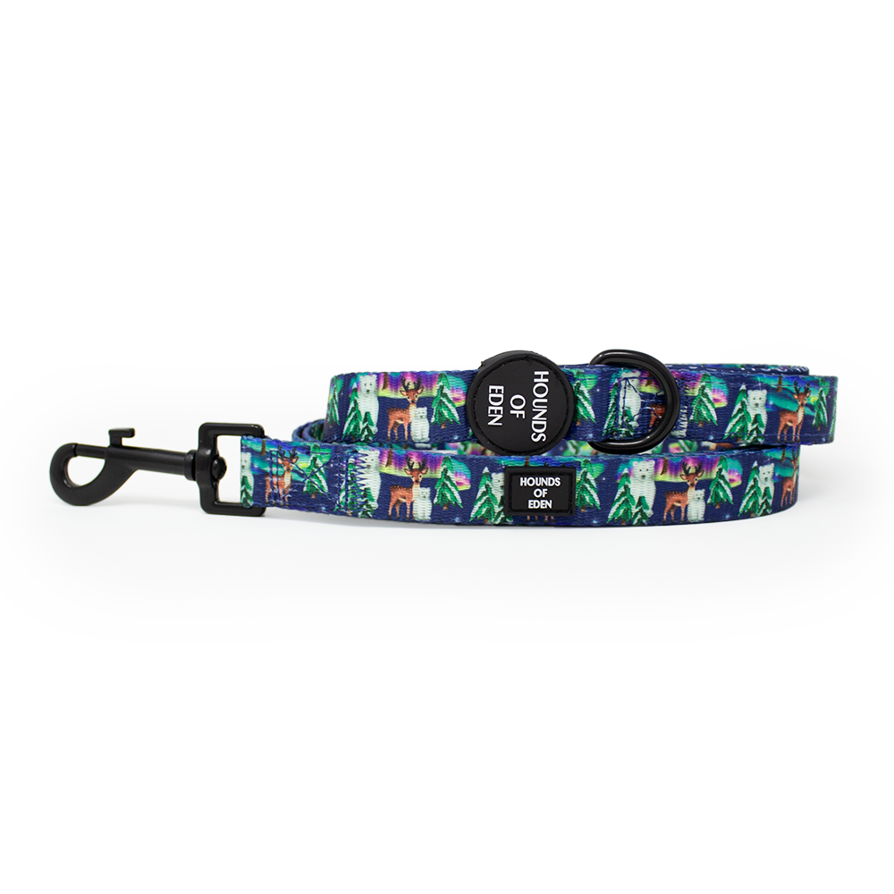 Polar Lights - Navy Polar Bear Design Dog Lead