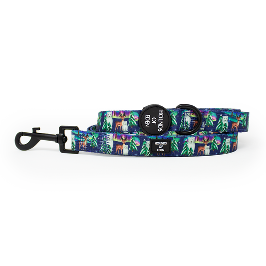 Polar Lights - Navy Polar Bear Design Dog Lead