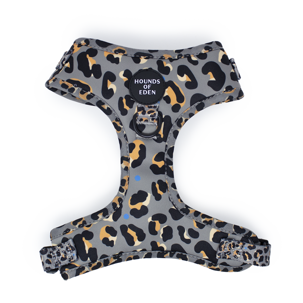 'Steel Leopard' - Khaki/Grey Dog Harness