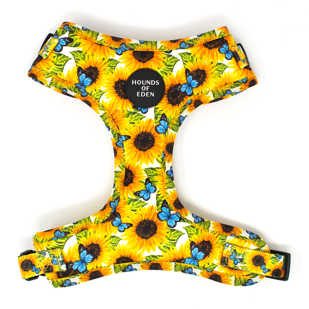 Sunflower Flutter - Yellow and Blue Butterfly Dog Harness