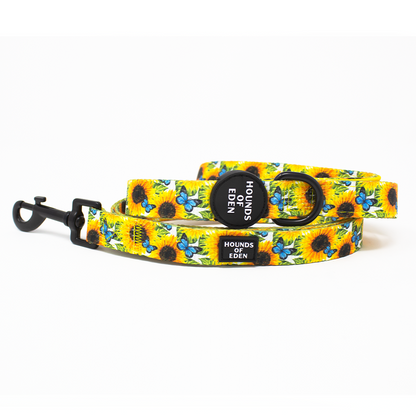 Sunflower Flutter - Yellow and Blue Butterfly Dog Harness