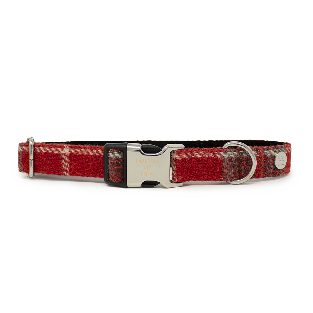 'SAMMI' Harris Tweed Dog Collar