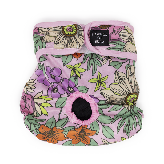 Wild Blossom - Dog Season Hygiene Panties