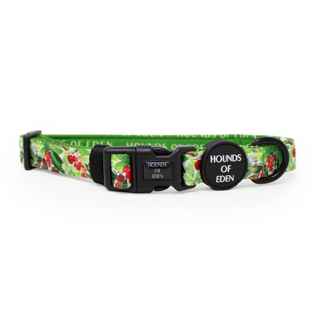 Winter Spruce & Berries Design Dog Collar