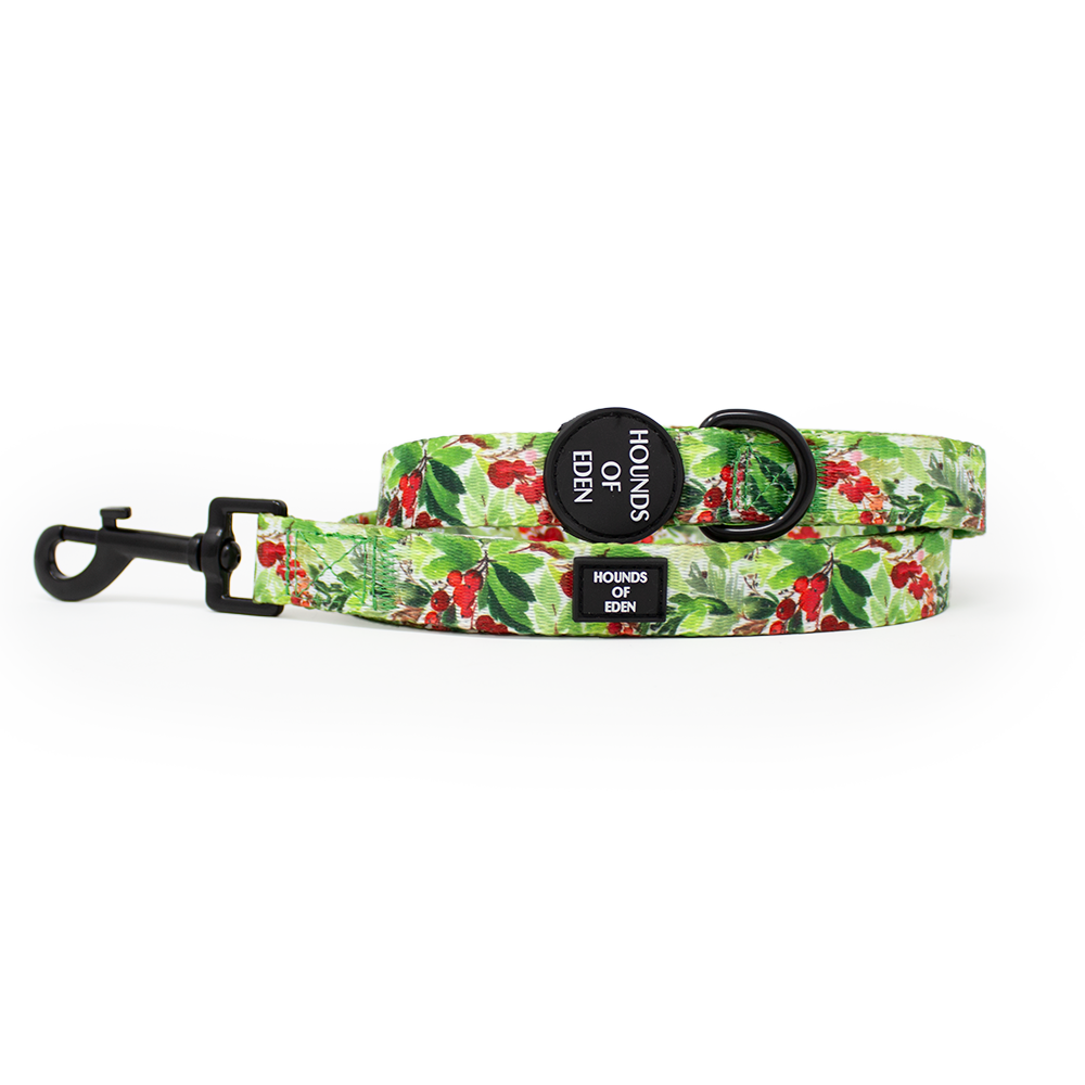 Winter Spruce & Berries Design Dog Collar