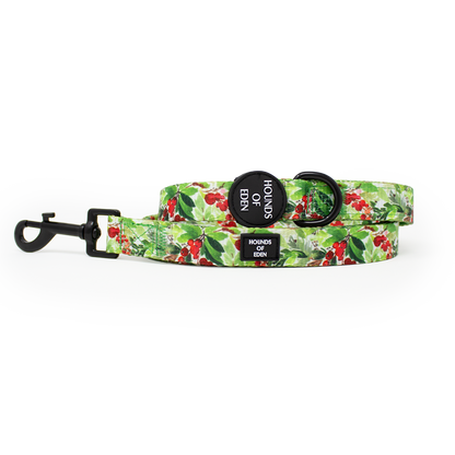 Winter Spruce & Berries Design Dog Collar