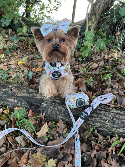 Doggy in the Window Design Dog Harness