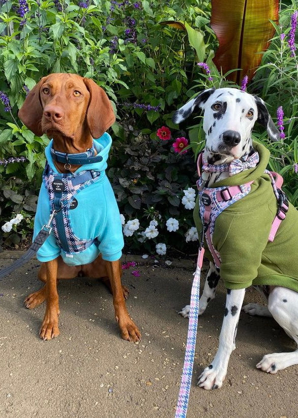 Dog Hoodie - Lilac