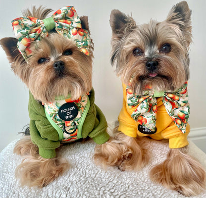 Simply the Zest - Oranges Dog Sailor Bow Tie