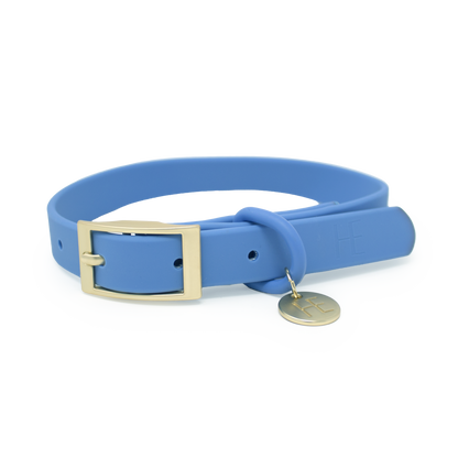 Lichen Blue 'All Weather' Dog Collar