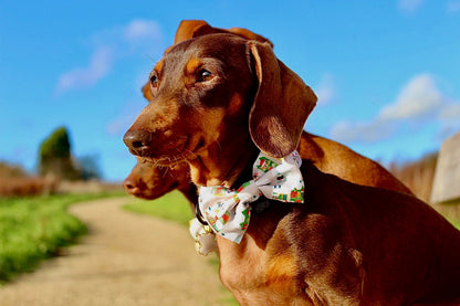 Doggy in the Window Design Dog Bow Tie