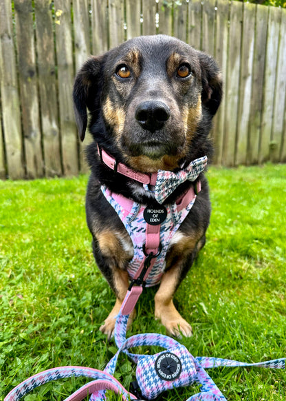 Pink Houndstooth Design Dog Bow Tie