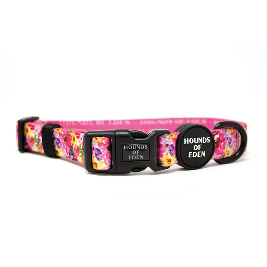 'Florentina' - Floral Dog Collar