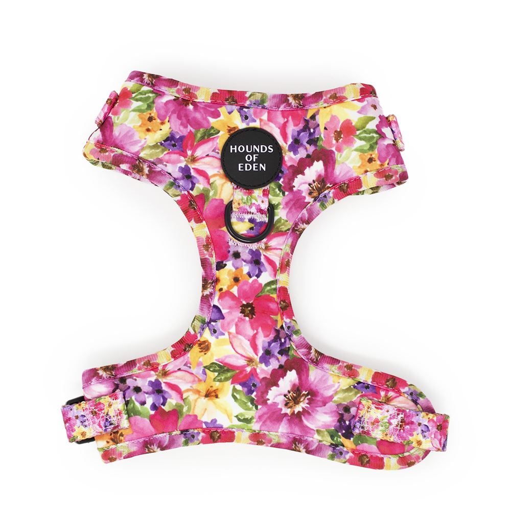 'Florentina' - Floral Dog Harness