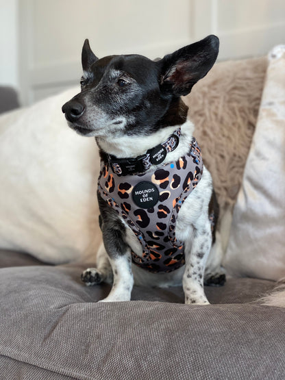 'Steel Leopard' - Khaki/Grey Dog Collar