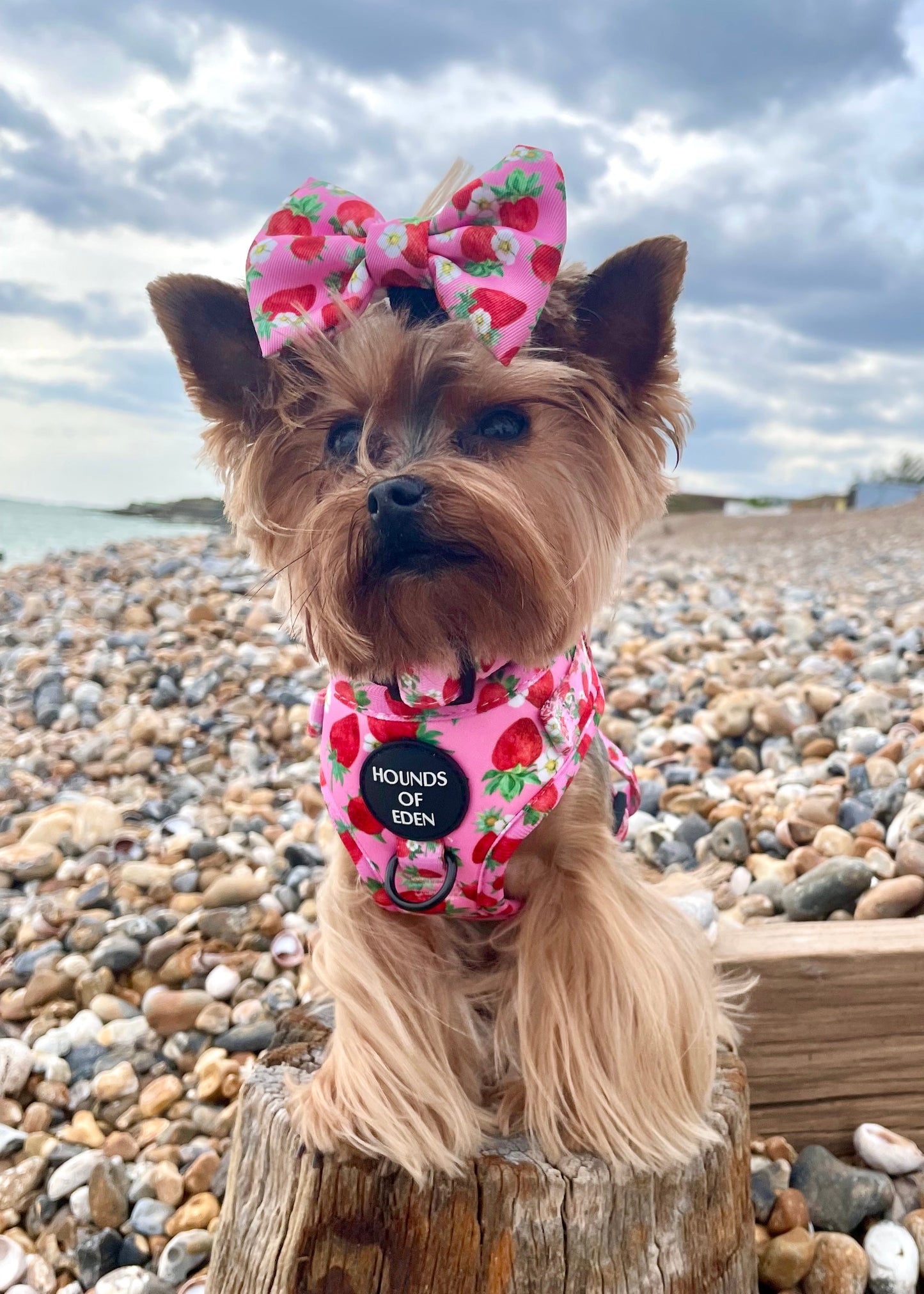 Strawberry Patch Design Dog Bow Tie