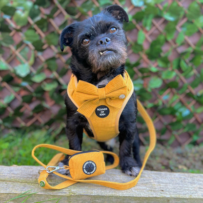 Mustard Yellow Corduroy Harness