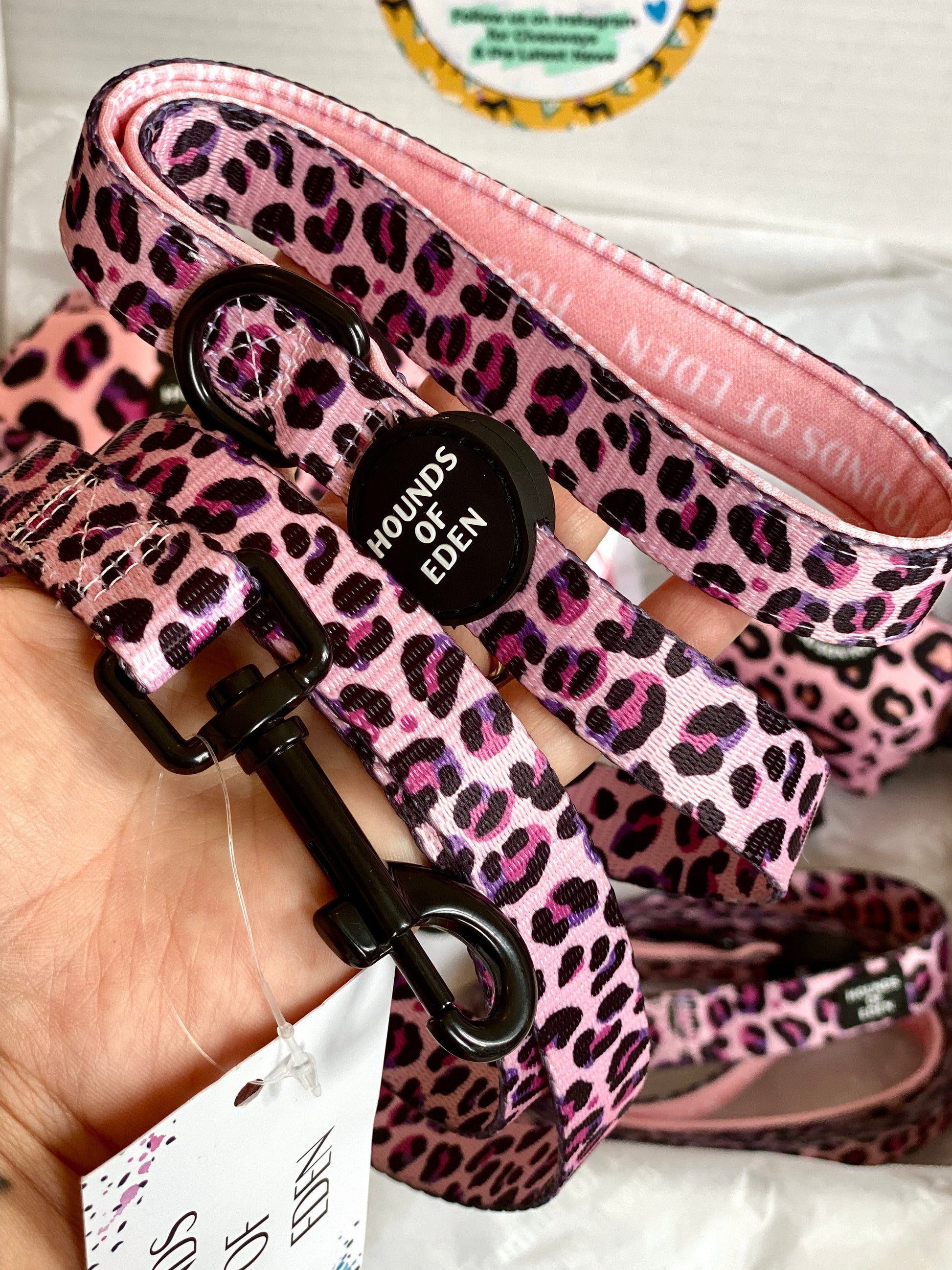 'Blushing Leopard' - Pink Dog Collar