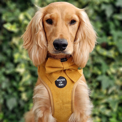 Mustard Yellow Corduroy Harness