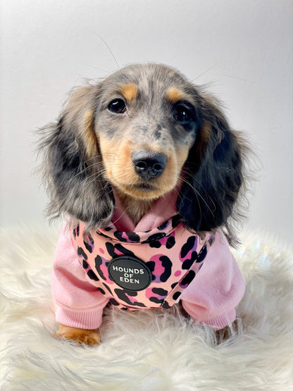 'Blushing Leopard' - Pink Dog Harness