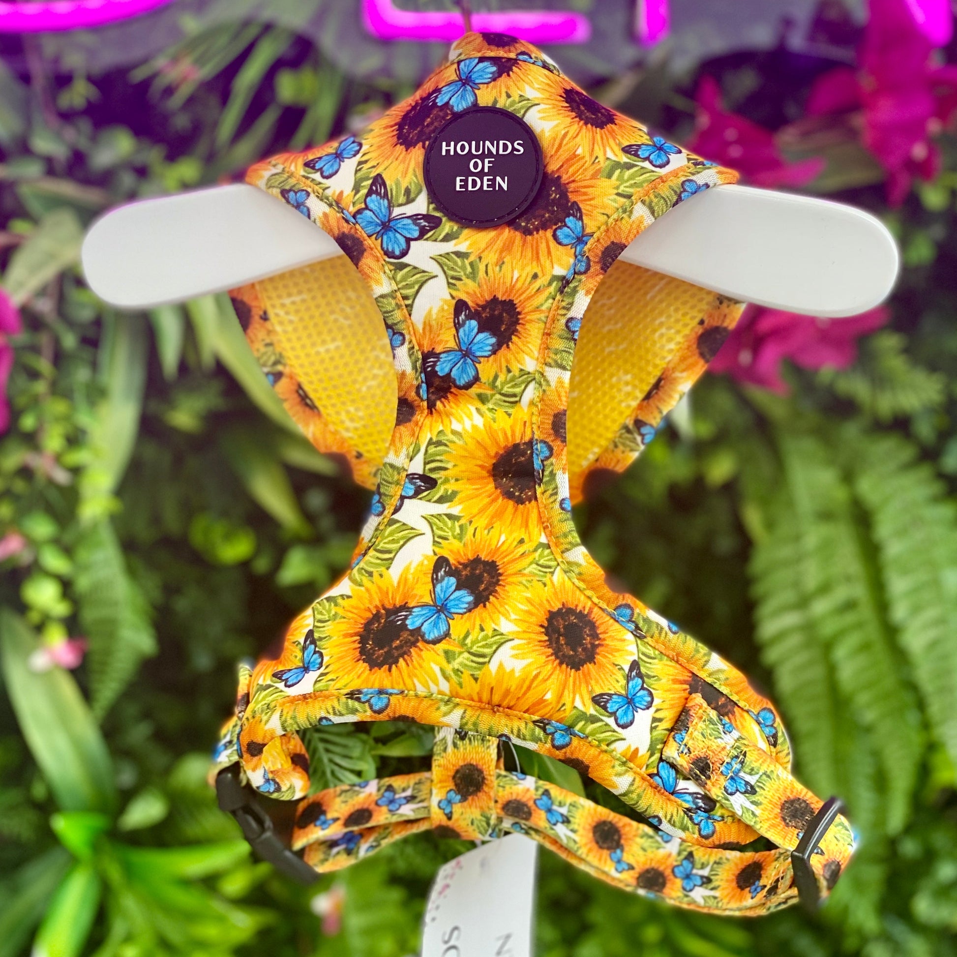 Sunflower Flutter - Yellow and Blue Butterfly Dog Harness