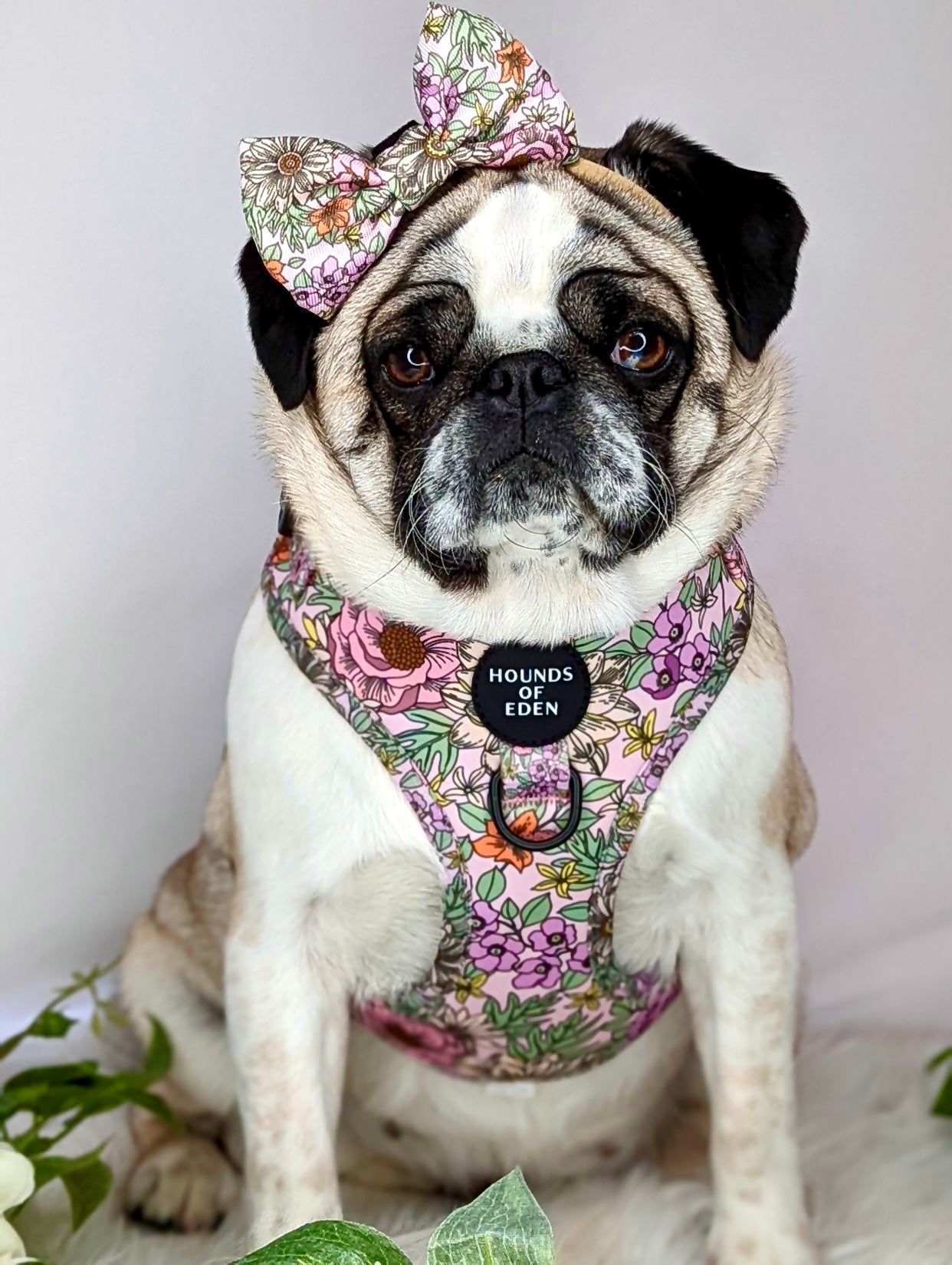 Wild Blossom - Design Dog Bow Tie