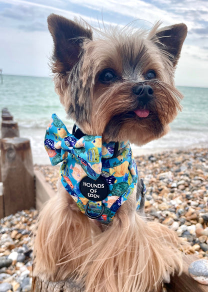 Under The Sea Design Dog Harness