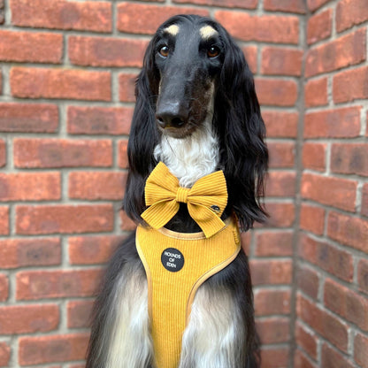 Mustard Yellow Corduroy Harness