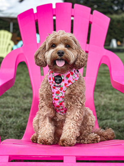 Strawberry Patch Design Dog Bow Tie