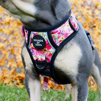 Supaw Strong™ 'Steel Leopard' Utility Harness