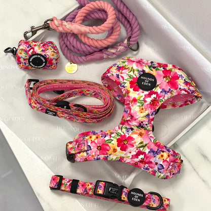 'Florentina' - Floral Dog Lead