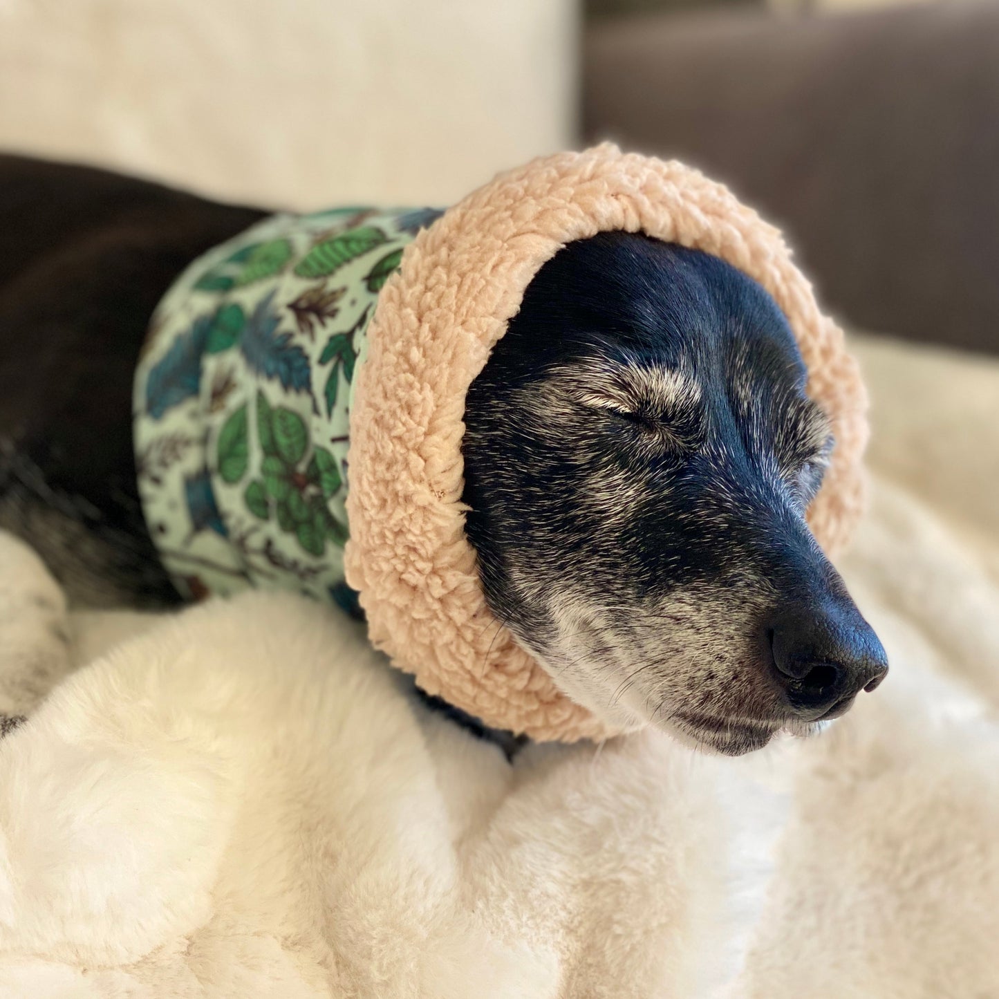 Ferntastic Dog Snood