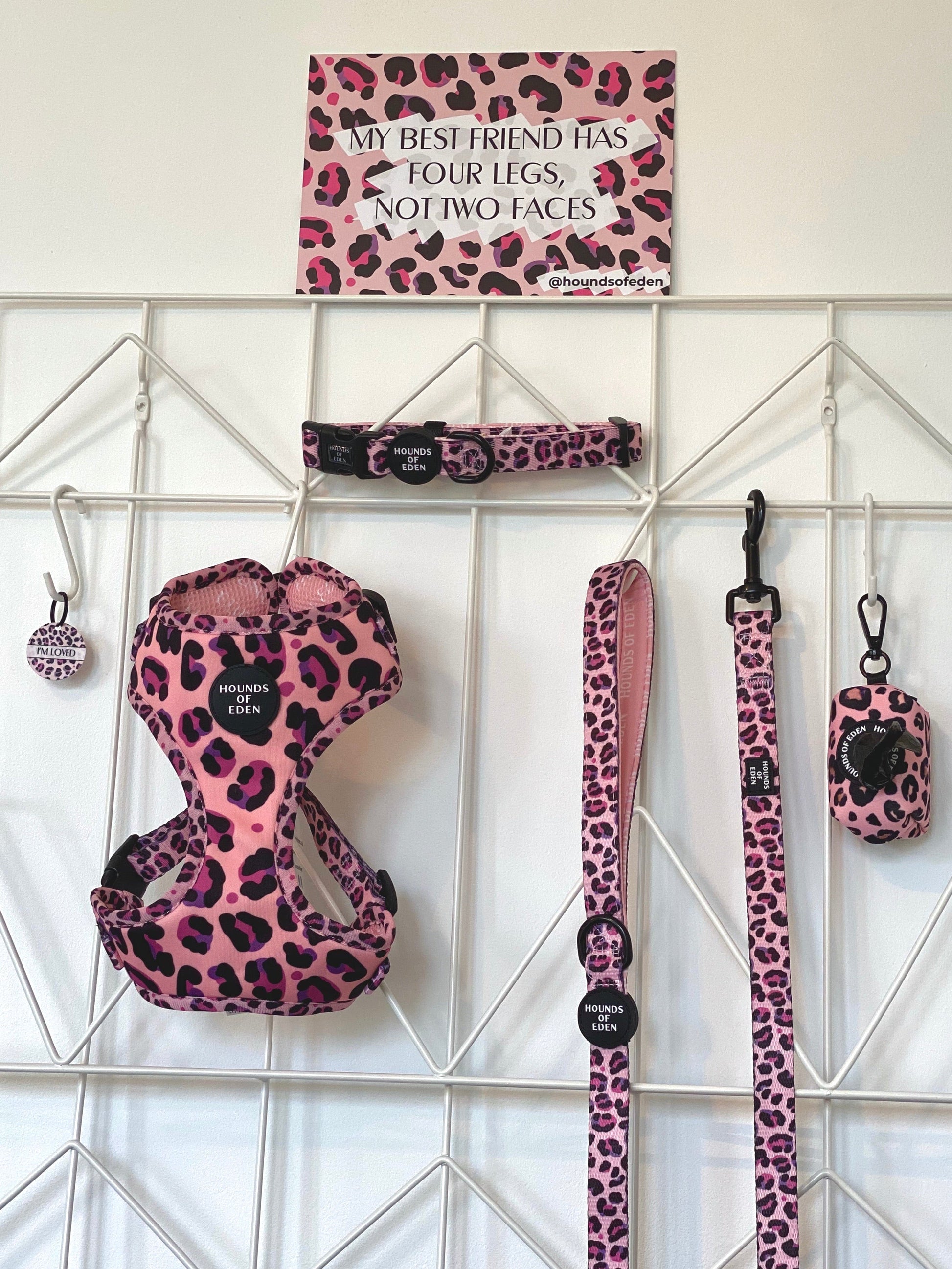 'Blushing Leopard' - Pink Dog Collar