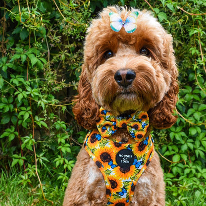 Sunflower Flutter - Yellow and Blue Butterfly Dog Harness