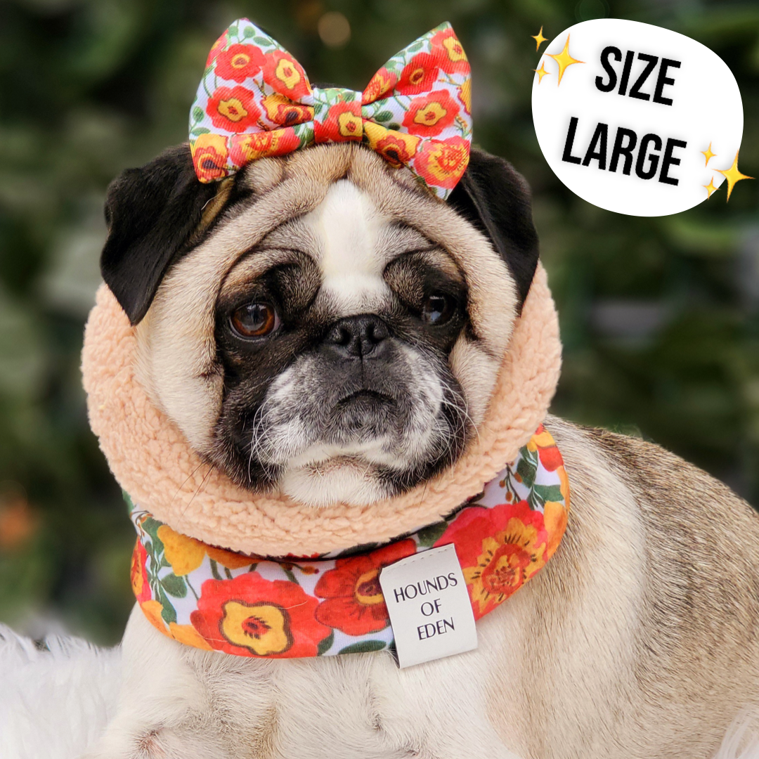 Autumn Blossom - Dog Snood