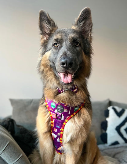 Harry Pawter Design Dog Harness