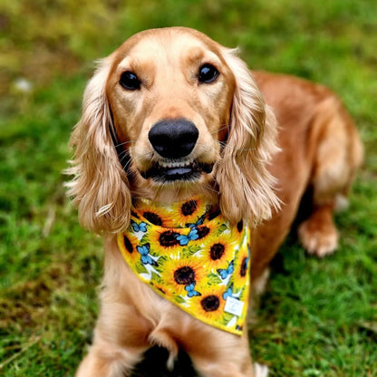 Sunflower Flutter - Yellow and Blue Butterfly Dog Harness