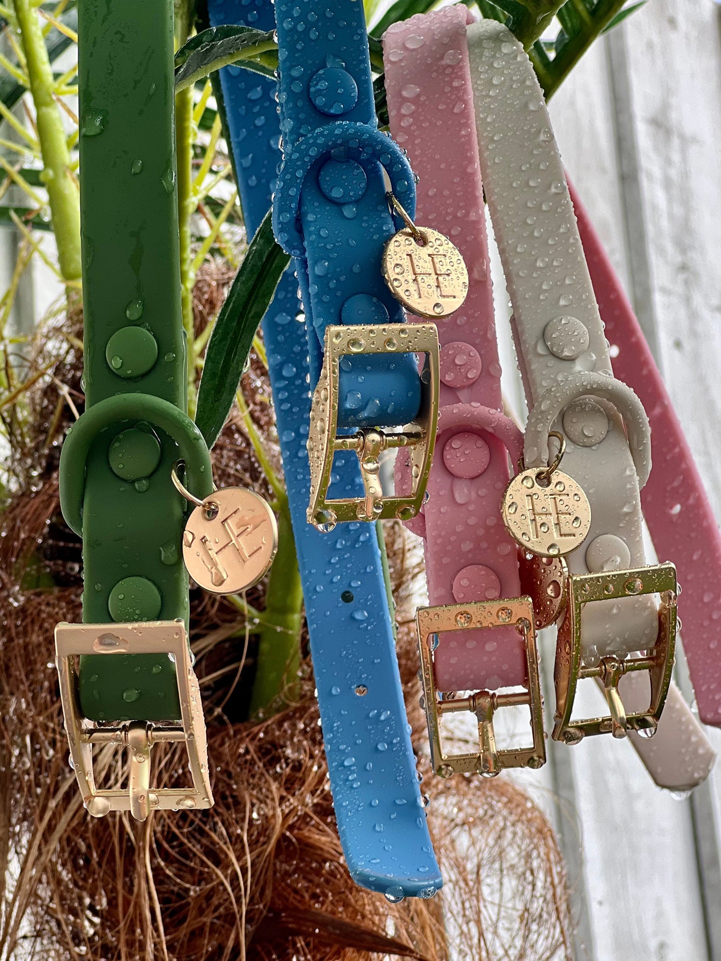 Lichen Blue 'All Weather' Dog Collar