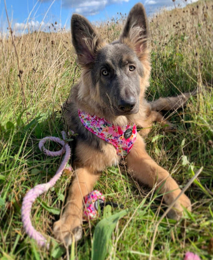 'Florentina' - Floral Dog Harness