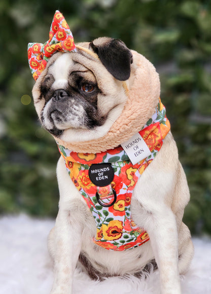 Autumn Blossom - Dog Snood