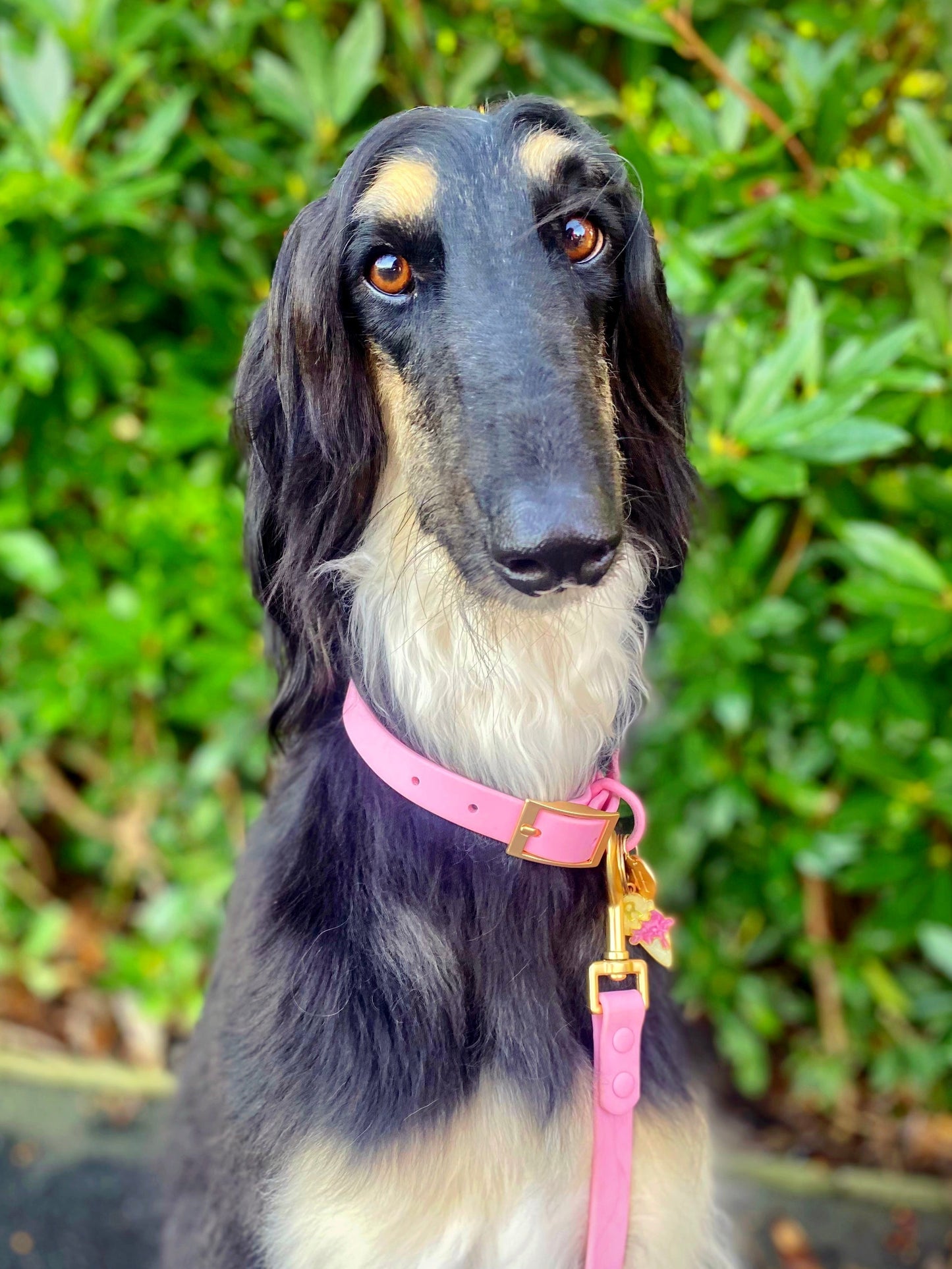 Candy floss Pink 'All Weather' Dog Lead