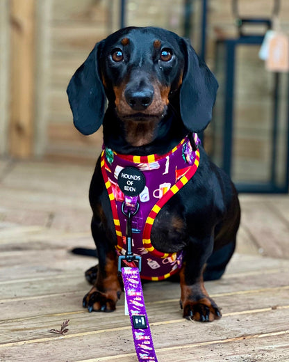 Harry Pawter Design Dog Harness