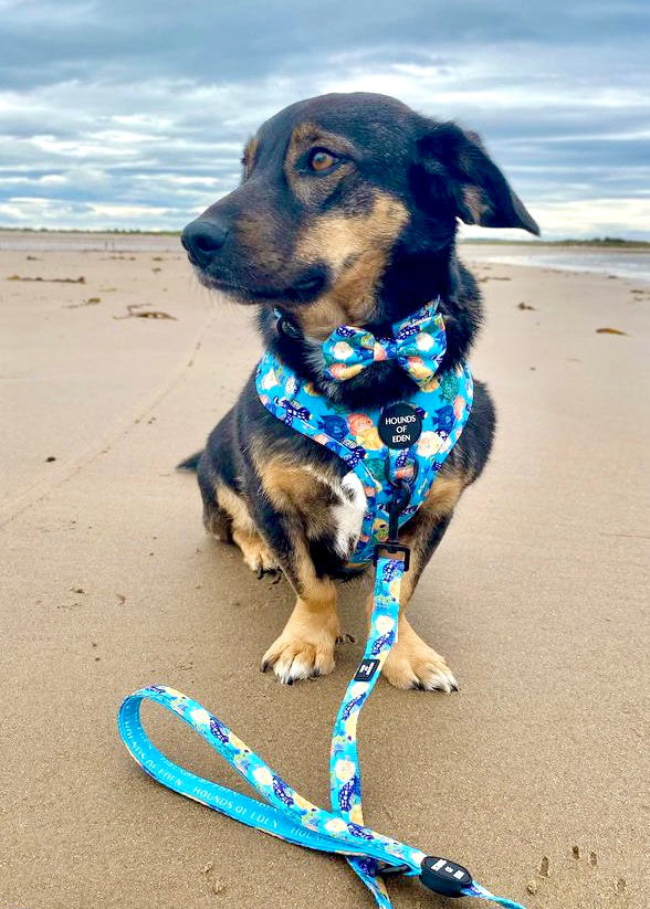 Under The Sea Design Dog Harness