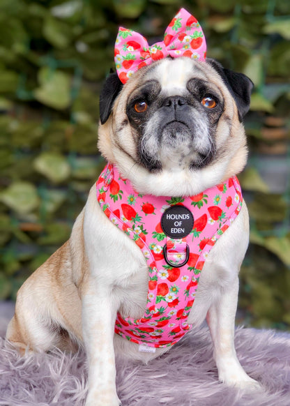 Strawberry Patch Design Dog Bow Tie