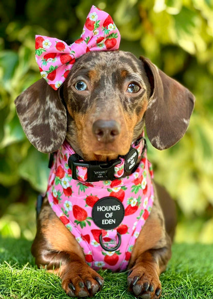 Strawberry Patch Design Dog Bow Tie