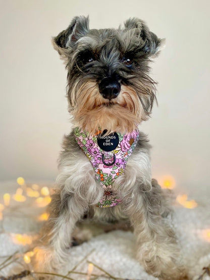 Wild Blossom- Design Dog Harness