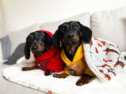 Sizzlin' Sausages Dog Snuggle Blanket