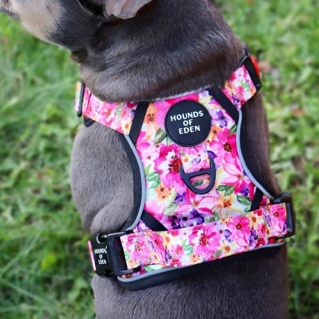 Supaw Strong™ 'Steel Leopard' Utility Harness