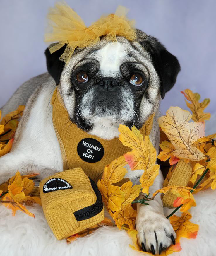 Mustard Yellow Corduroy Harness